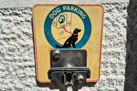 Dog Parking