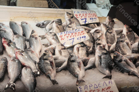 Bazar - ryby - Ateny 3