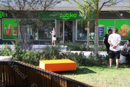 Złota - Żabka